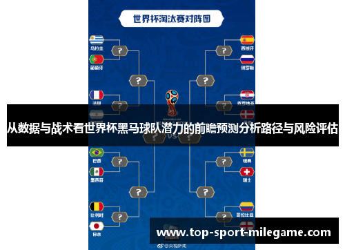 从数据与战术看世界杯黑马球队潜力的前瞻预测分析路径与风险评估